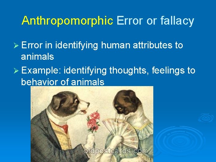 Anthropomorphic Error or fallacy Ø Error in identifying human attributes to animals Ø Example: