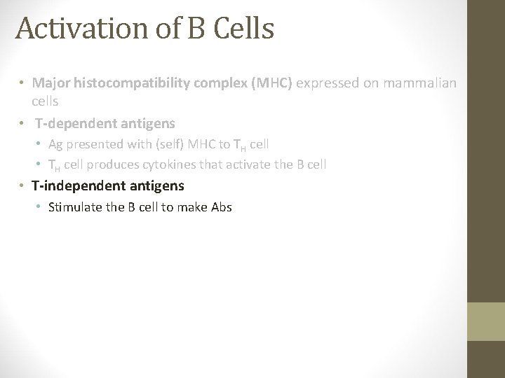 Activation of B Cells • Major histocompatibility complex (MHC) expressed on mammalian cells •