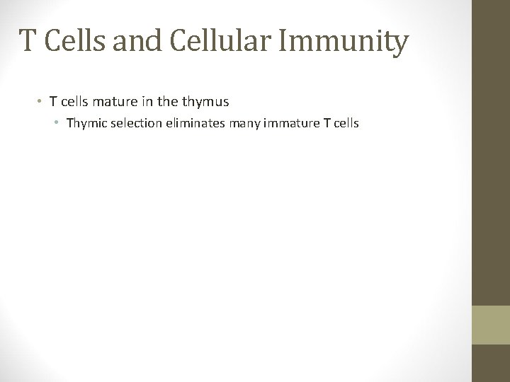 T Cells and Cellular Immunity • T cells mature in the thymus • Thymic