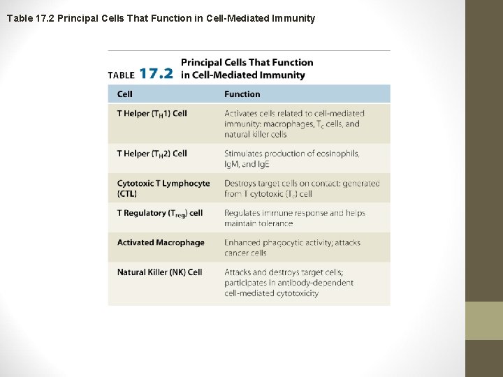 Table 17. 2 Principal Cells That Function in Cell-Mediated Immunity 