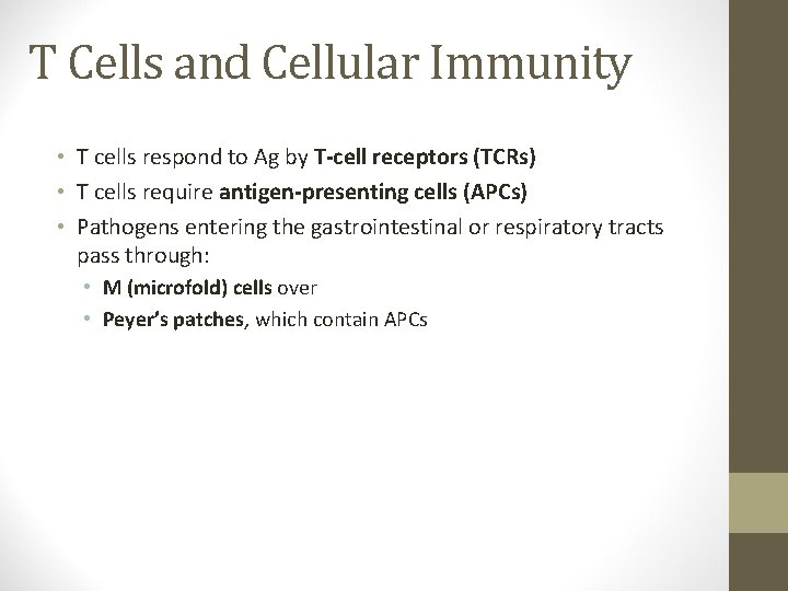 T Cells and Cellular Immunity • T cells respond to Ag by T-cell receptors