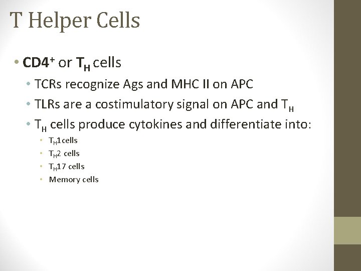 T Helper Cells • CD 4+ or TH cells • TCRs recognize Ags and