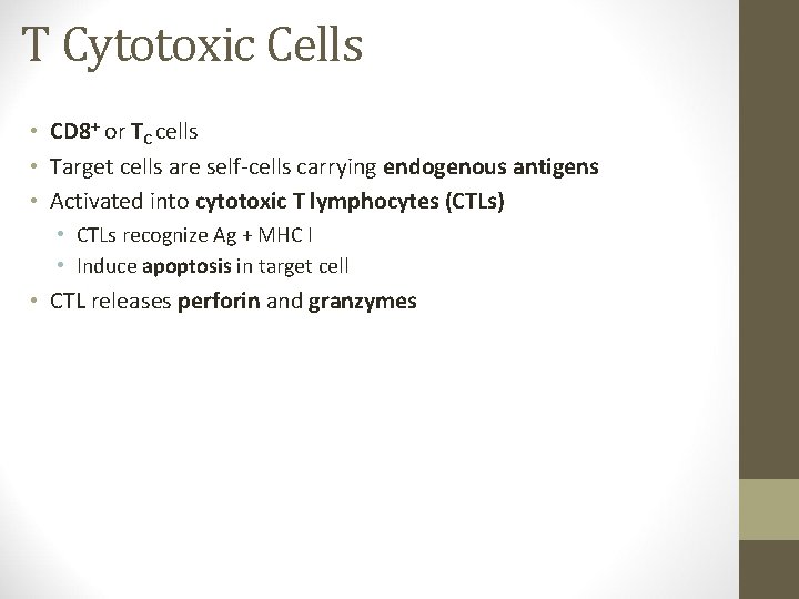 T Cytotoxic Cells • CD 8+ or TC cells • Target cells are self-cells