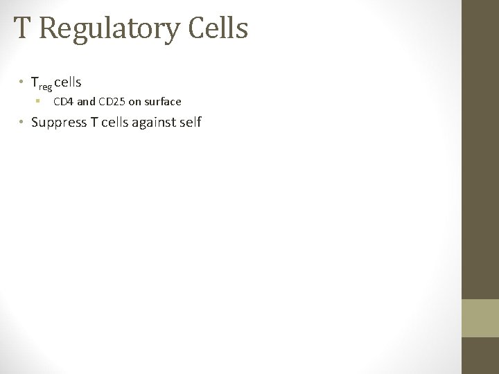 T Regulatory Cells • Treg cells § CD 4 and CD 25 on surface