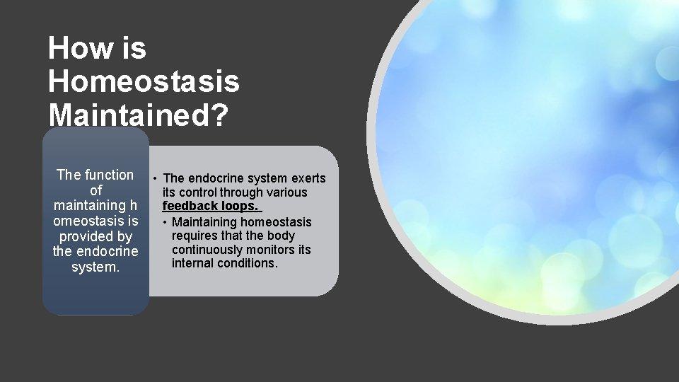 How is Homeostasis Maintained? The function of maintaining h omeostasis is provided by the