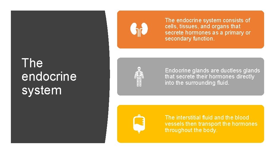 The endocrine system consists of cells, tissues, and organs that secrete hormones as a