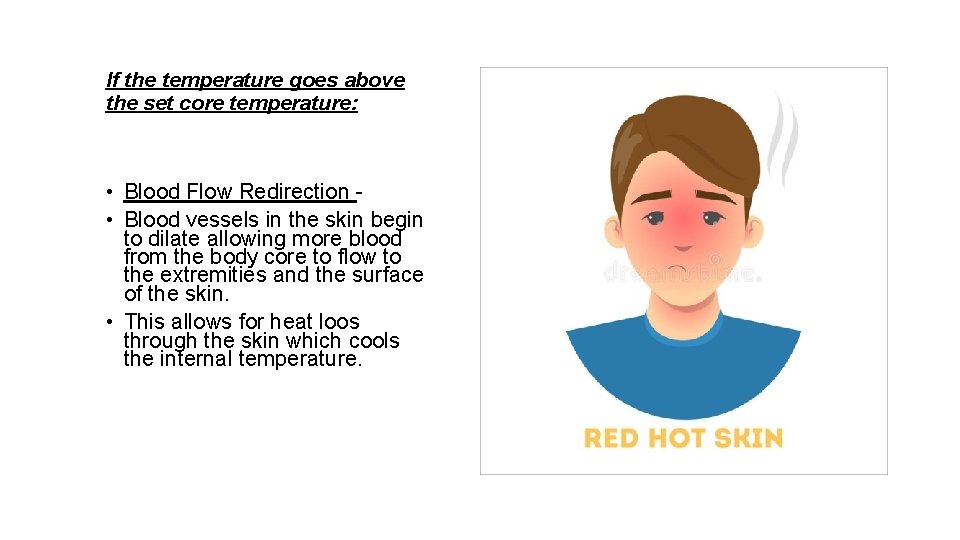 If the temperature goes above the set core temperature: • Blood Flow Redirection •