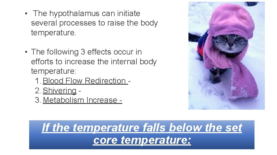  • The hypothalamus can initiate several processes to raise the body temperature. •