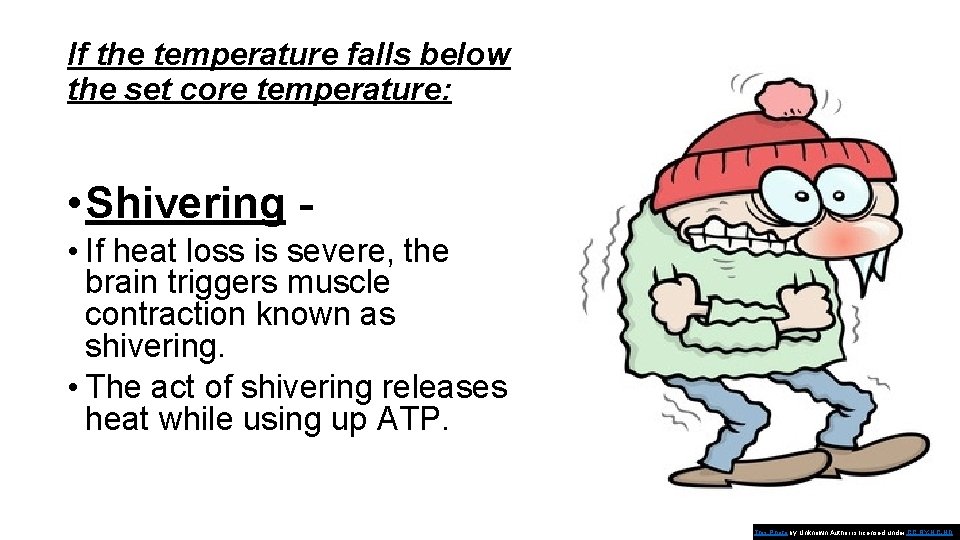 If the temperature falls below the set core temperature: • Shivering • If heat