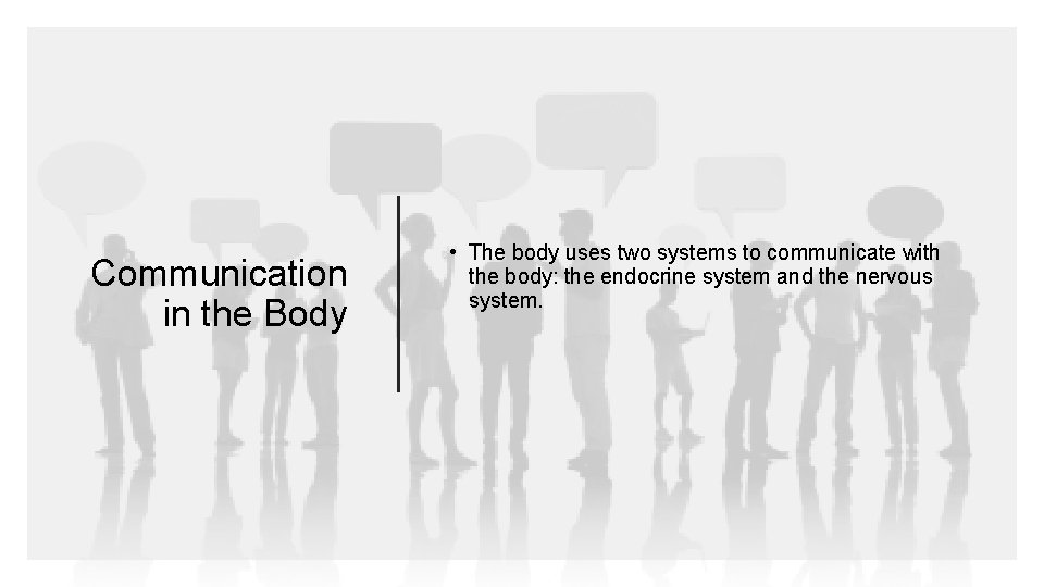 Communication in the Body • The body uses two systems to communicate with the