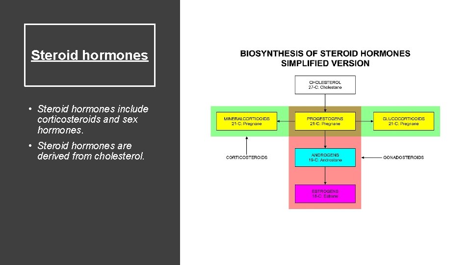 Steroid hormones • Steroid hormones include corticosteroids and sex hormones. • Steroid hormones are