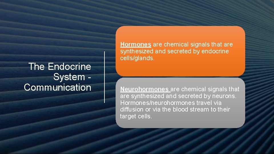 The Endocrine System Communication Hormones are chemical signals that are synthesized and secreted by