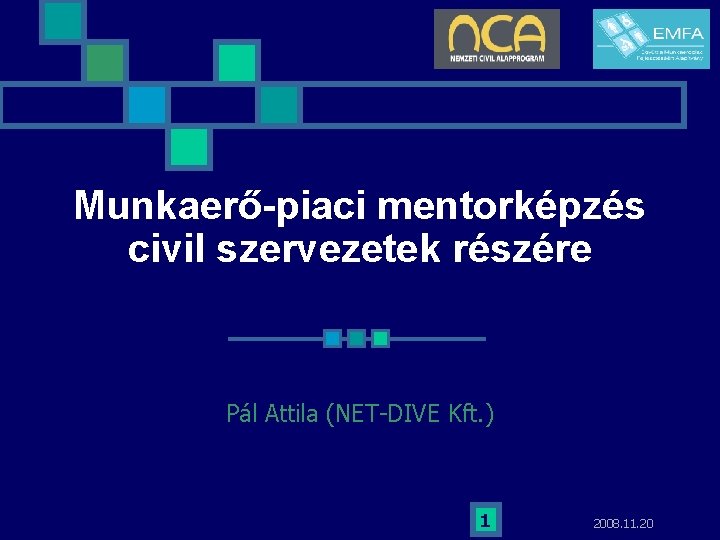 Munkaerő-piaci mentorképzés civil szervezetek részére Pál Attila (NET-DIVE Kft. ) 1 2008. 11. 20