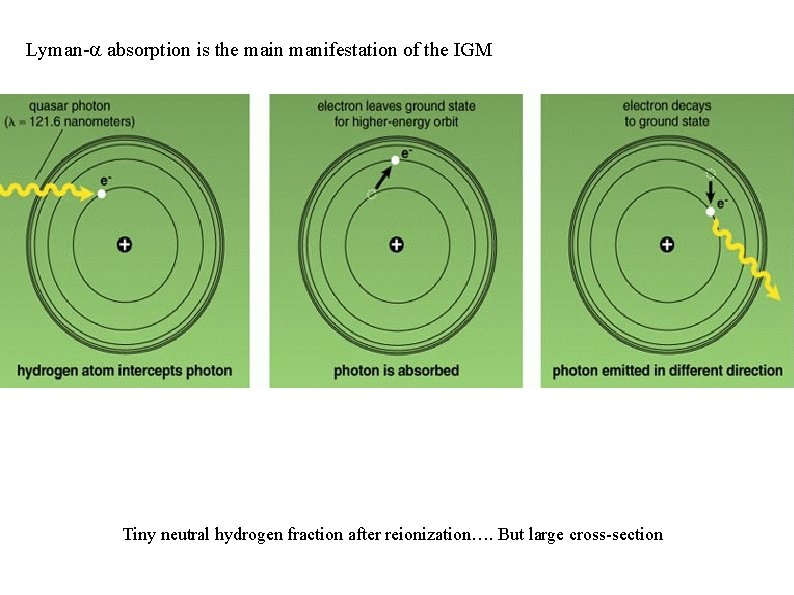 Lyman-a absorption is the main manifestation of the IGM Tiny neutral hydrogen fraction after