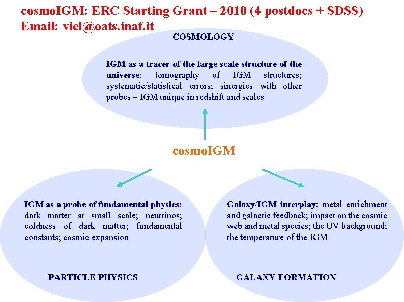 cosmo. IGM: ERC Starting Grant – 2010 (4 postdocs + SDSS) Email: viel@oats. inaf.