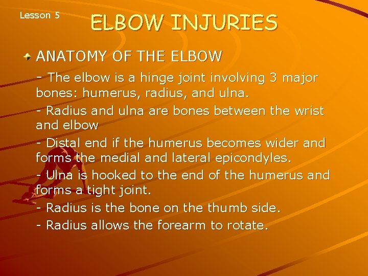 Lesson 5 ELBOW INJURIES ANATOMY OF THE ELBOW - The elbow is a hinge