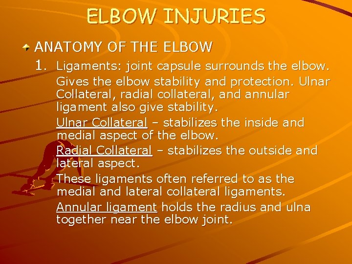 ELBOW INJURIES ANATOMY OF THE ELBOW 1. Ligaments: joint capsule surrounds the elbow. Gives