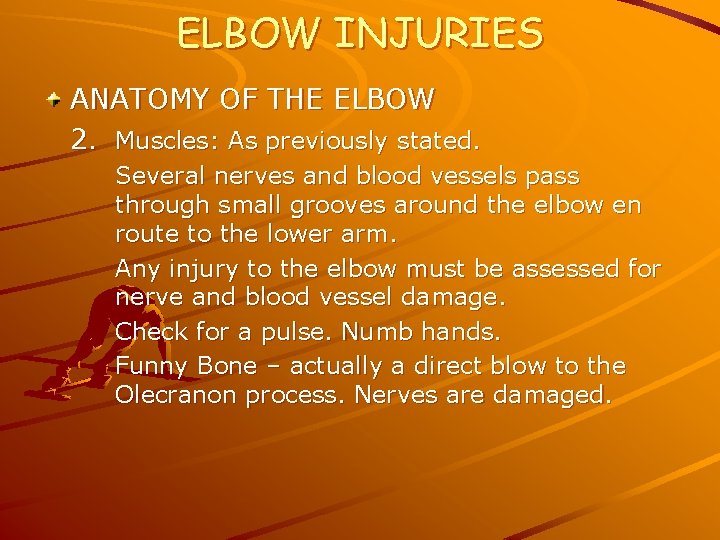 ELBOW INJURIES ANATOMY OF THE ELBOW 2. Muscles: As previously stated. Several nerves and