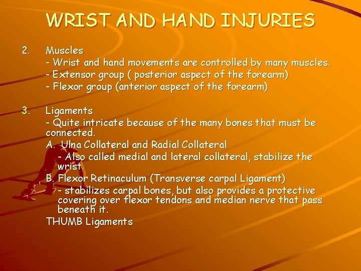 WRIST AND HAND INJURIES 2. Muscles - Wrist and hand movements are controlled by