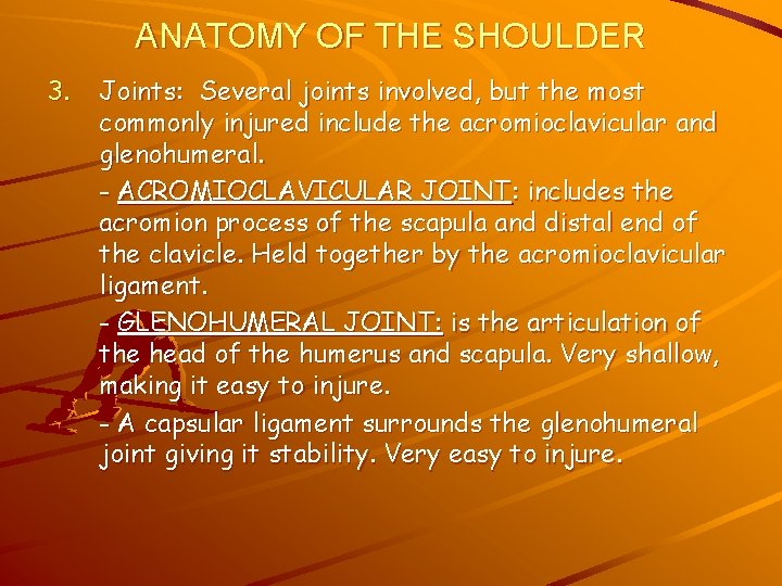 ANATOMY OF THE SHOULDER 3. Joints: Several joints involved, but the most commonly injured