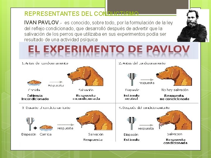 REPRESENTANTES DEL CONDUCTISMO IVAN PAVLOV. - es conocido, sobre todo, por la formulación de REPRESENTANTES DEL CONDUCTISMO IVAN PAVLOV. - es conocido, sobre todo, por la formulación de