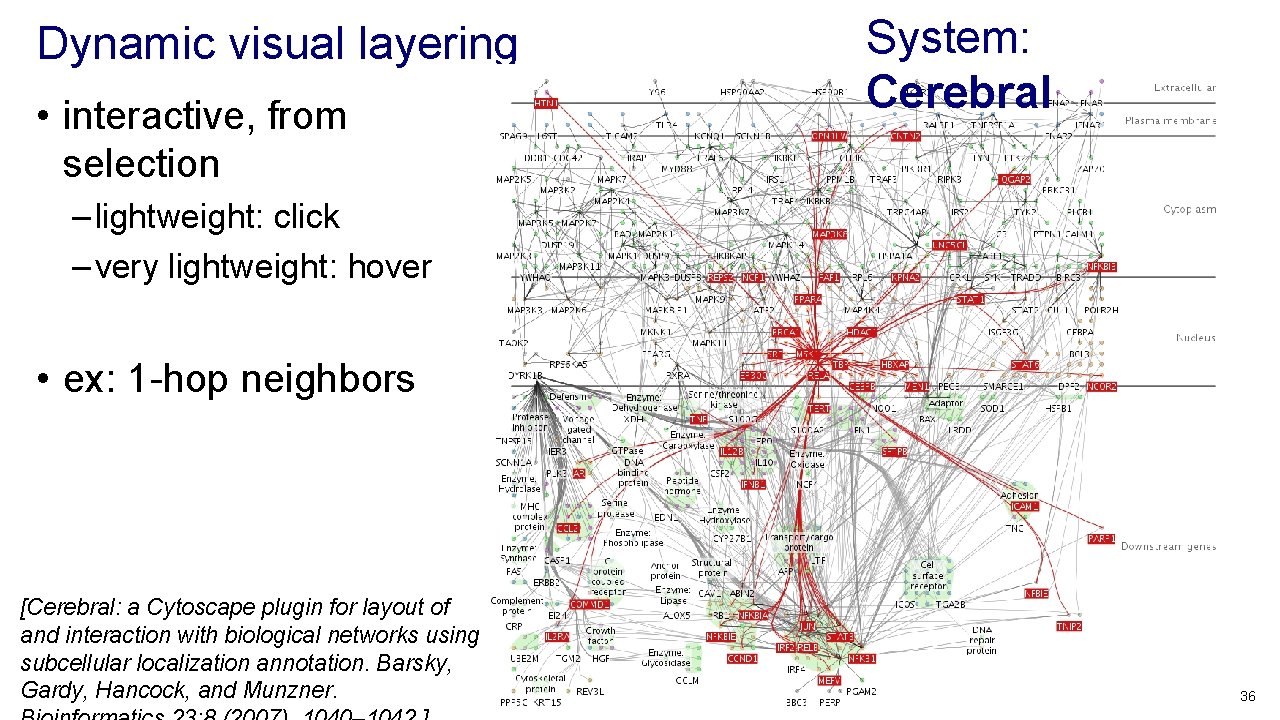 Dynamic visual layering • interactive, from selection System: Cerebral – lightweight: click – very Dynamic visual layering • interactive, from selection System: Cerebral – lightweight: click – very