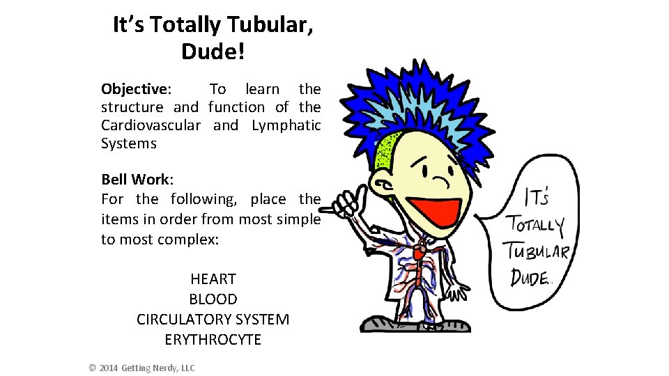 It’s Totally Tubular, Dude! Objective: To learn the structure and function of the Cardiovascular