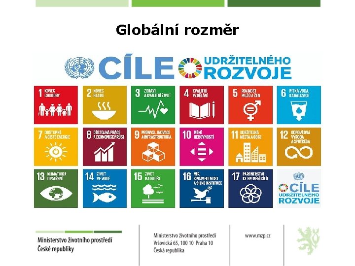 Globální rozměr 