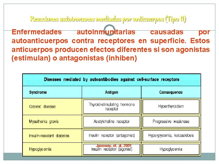 Reacciones autoinmunes mediadas por anticuerpos (Tipo II) Enfermedades autoinmunitarias causadas por autoanticuerpos contra receptores