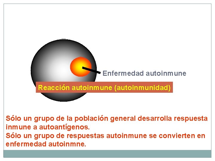Enfermedad autoinmune Reacción autoinmune (autoinmunidad) Sólo un grupo de la población general desarrolla respuesta