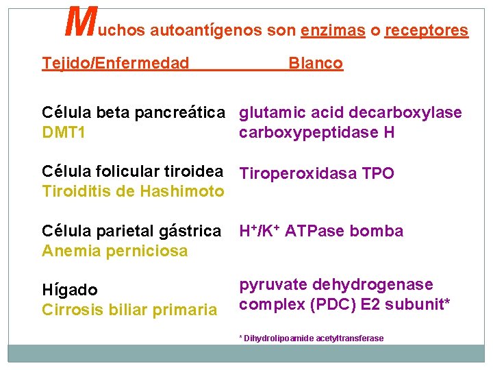 M uchos autoantígenos son enzimas o receptores Tejido/Enfermedad Blanco Célula beta pancreática glutamic acid