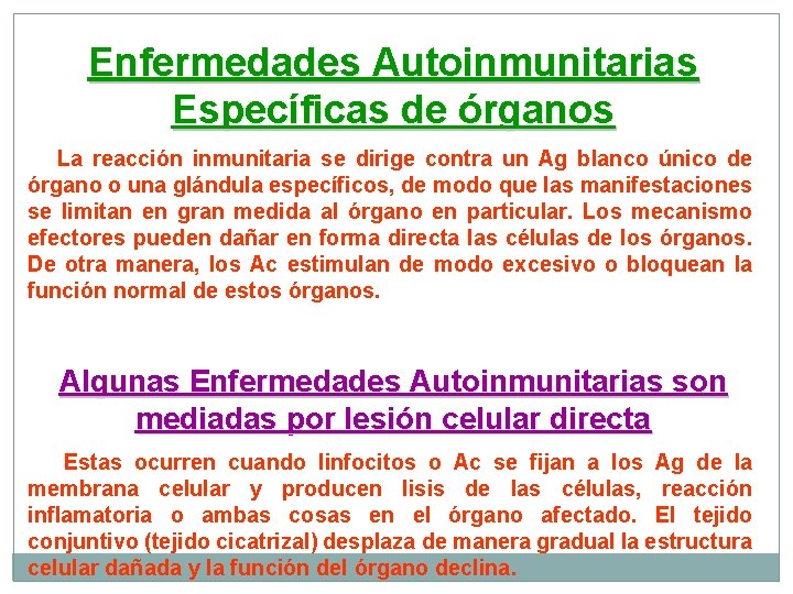 Enfermedades Autoinmunitarias Específicas de órganos La reacción inmunitaria se dirige contra un Ag blanco