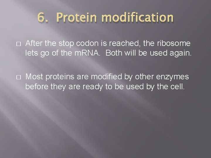 6. Protein modification � After the stop codon is reached, the ribosome lets go