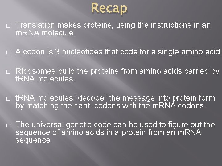 Recap � Translation makes proteins, using the instructions in an m. RNA molecule. �