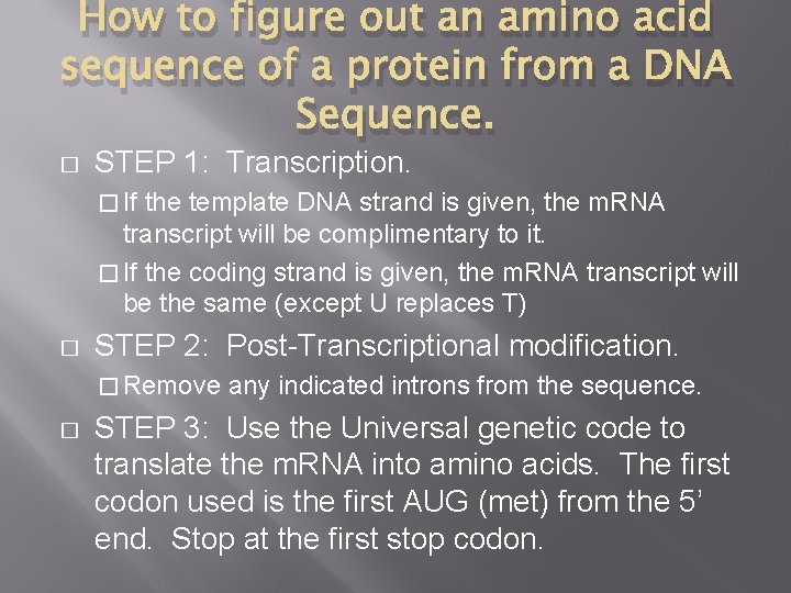 How to figure out an amino acid sequence of a protein from a DNA