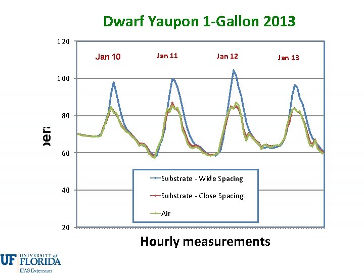 Dwarf Yaupon 1 -Gallon 2013 120 Temperature (F) Jan 10 Jan 11 Jan 12