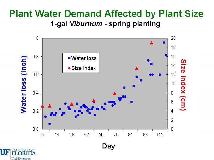Plant Water Demand Affected by Plant Size 1 -gal Viburnum - spring planting 1.
