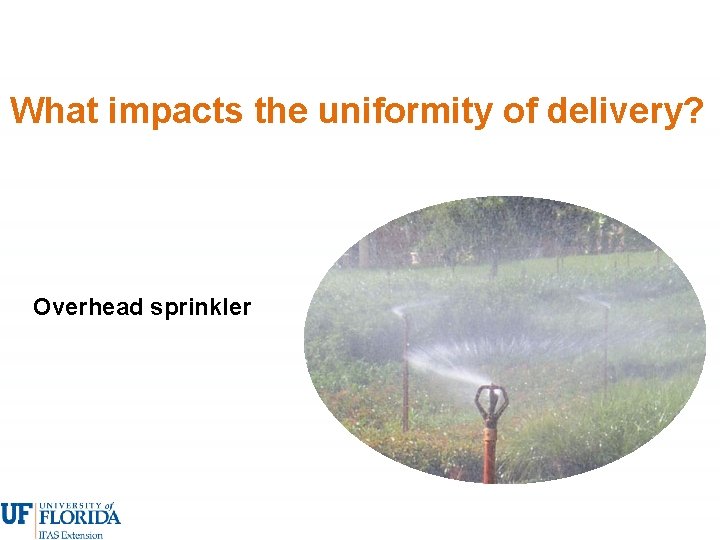 What impacts the uniformity of delivery? Overhead sprinkler 