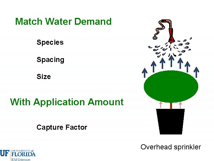 Match Water Demand Species Spacing Size With Application Amount Capture Factor Overhead sprinkler 
