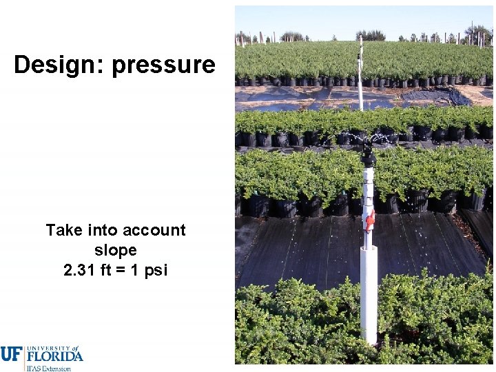 Design: pressure Take into account slope 2. 31 ft = 1 psi 