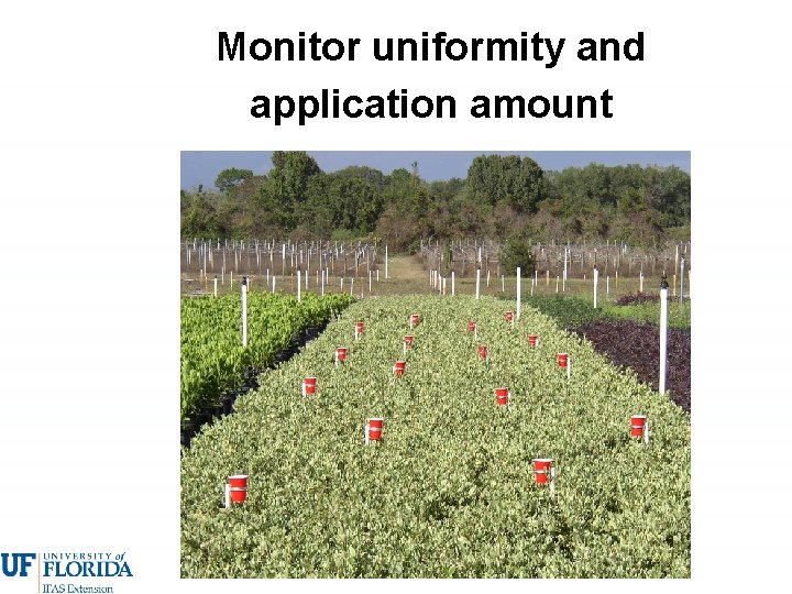 Monitor uniformity and application amount 