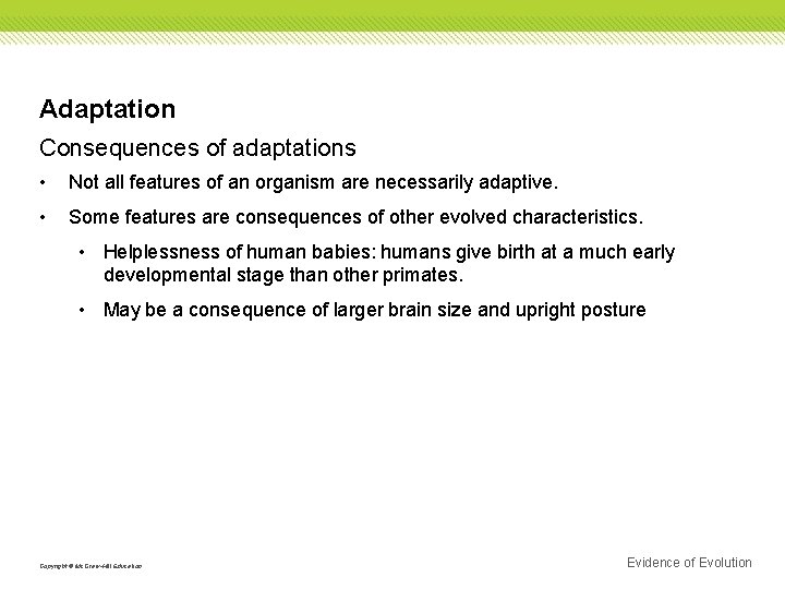 Adaptation Consequences of adaptations • Not all features of an organism are necessarily adaptive.