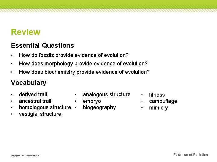Review Essential Questions • • • How do fossils provide evidence of evolution? How