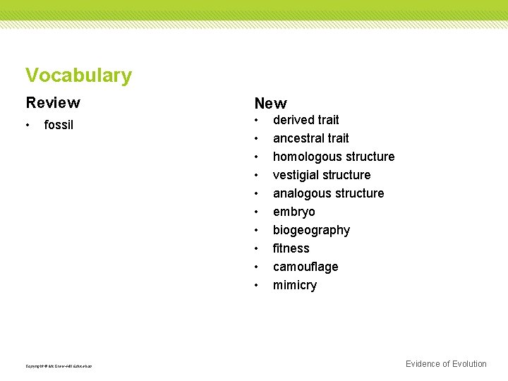 Vocabulary Review New • • • fossil Copyright © Mc. Graw-Hill Education derived trait