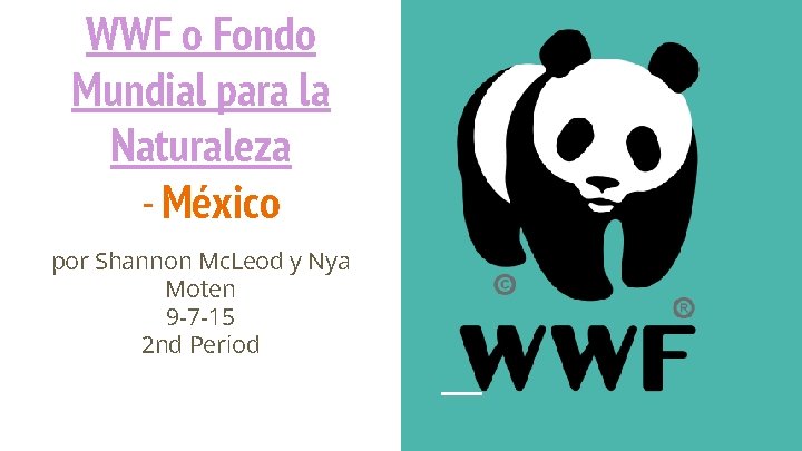 WWF o Fondo Mundial para la Naturaleza - México por Shannon Mc. Leod y