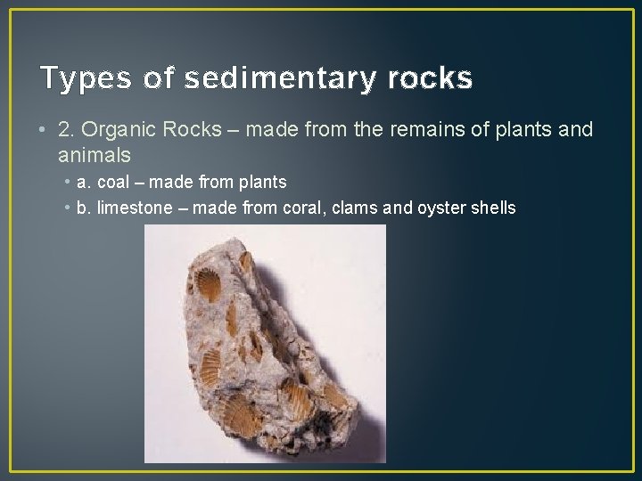 Types of sedimentary rocks • 2. Organic Rocks – made from the remains of