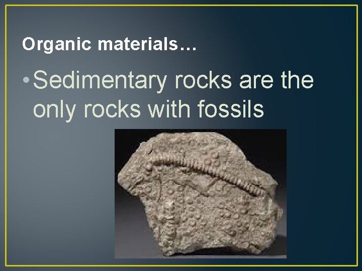 Organic materials… • Sedimentary rocks are the only rocks with fossils 