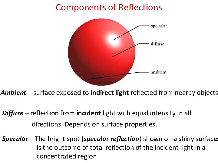 Components of Reflections Ambient – surface exposed to indirect light reflected from nearby objects