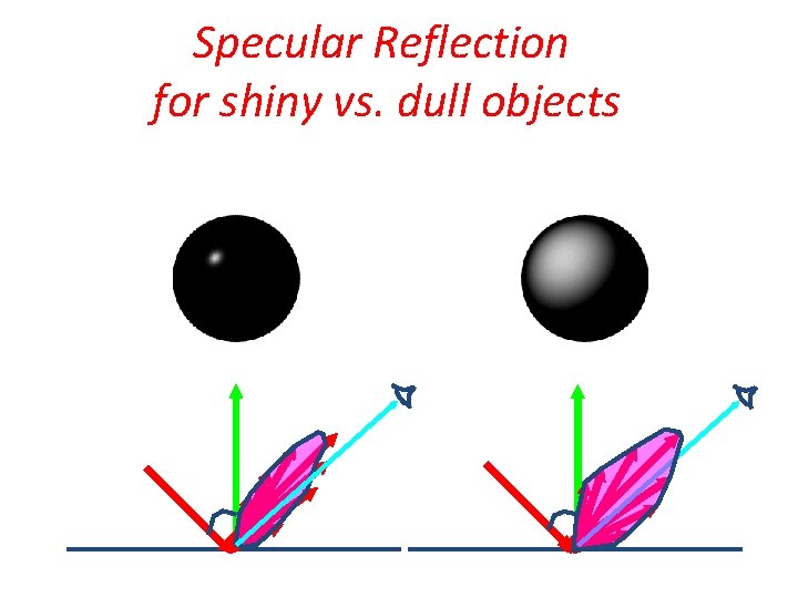 Specular Reflection for shiny vs. dull objects 