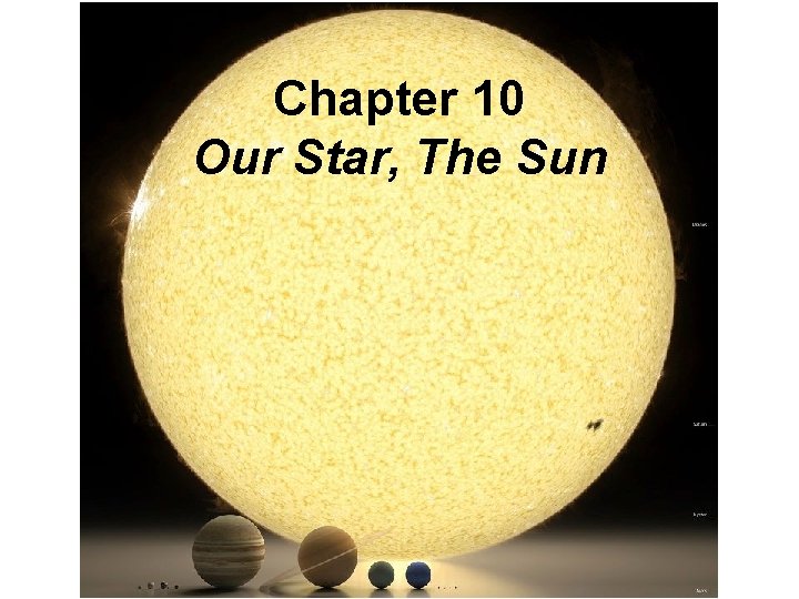 Chapter 10 Our Star, The Sun 